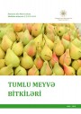 "Tumlu meyvə bitkiləri" modulu üzrə dərs vəsaiti