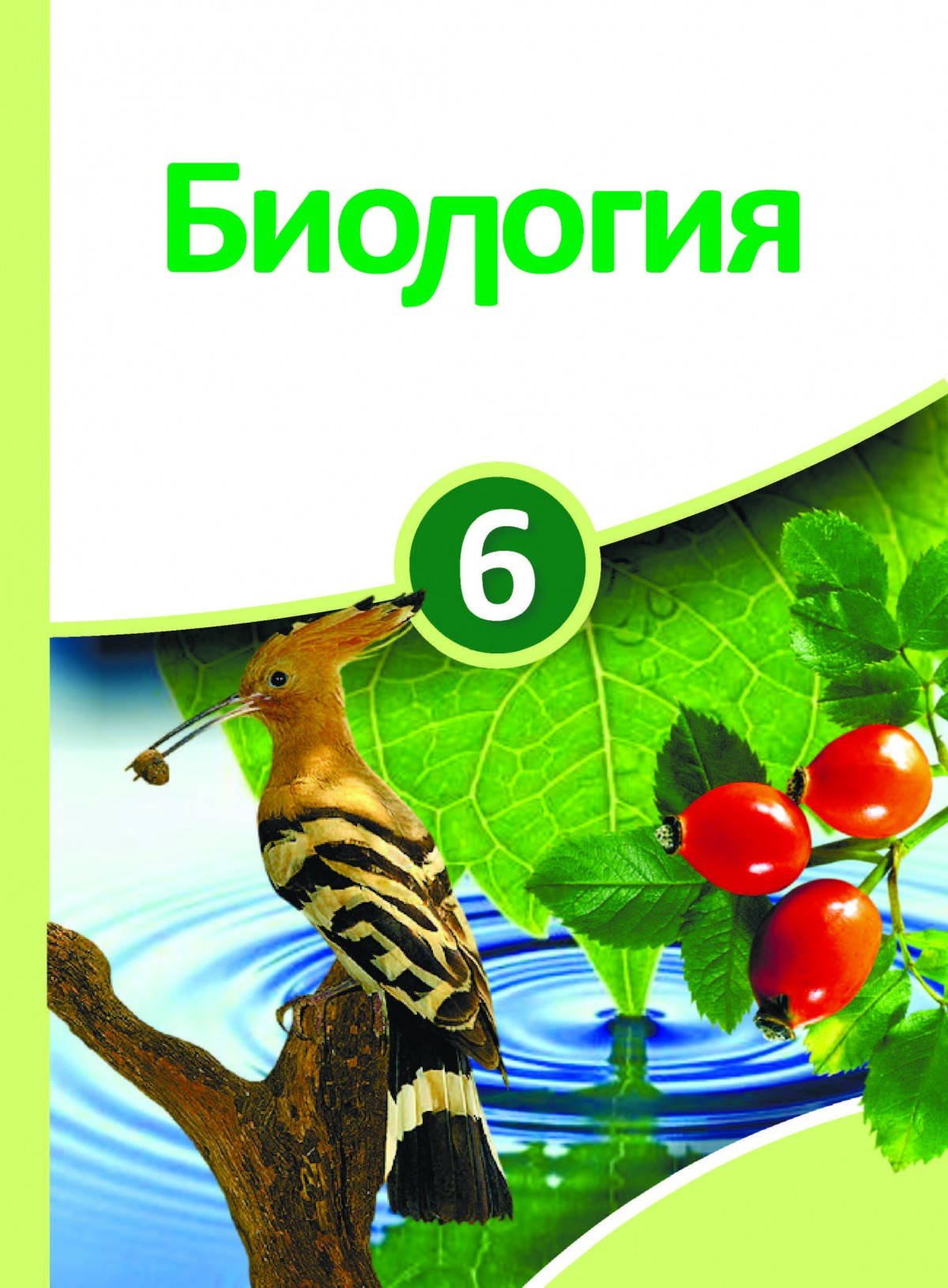 Биология для первого класса. Биология. Биология 6 класс. Биология книга. Учебник по биологии.